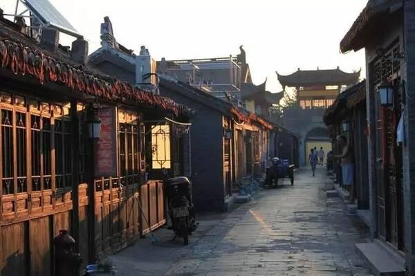 迷你淘气猪逃脱